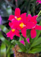 20250222_135058 Tower Hill Botanic Garden, MA